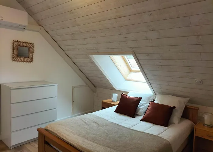 De Campagne Paisible Au Coeur De La Nature - Fr-1-489-437 * Saint-Leon (Allier)